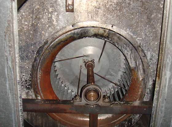 �͟��ܵ���Ҫ���ڵ��M(j��n)����ϴ