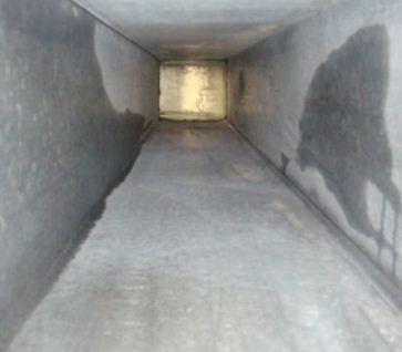 �Ƶ��͟��ܵ���ϴ��ʲô��̎